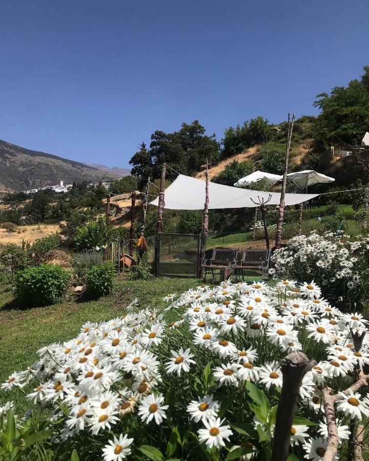 "Casa Ibero" Bubion, Alojamiento Turistico Rural Екстериор снимка