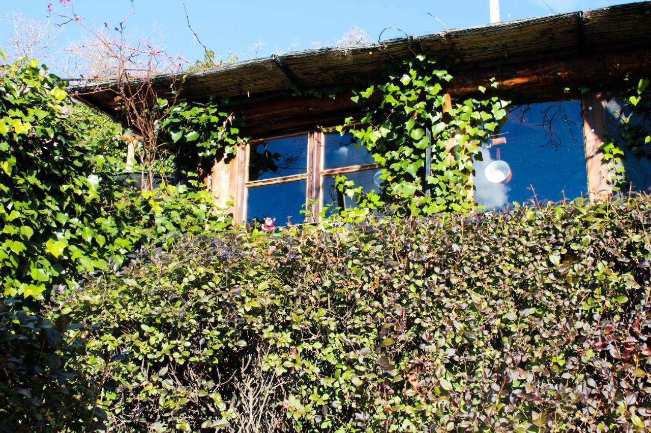 "Casa Ibero" Bubion, Alojamiento Turistico Rural Екстериор снимка